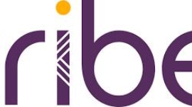 Tribe_Payments_Logo_2025