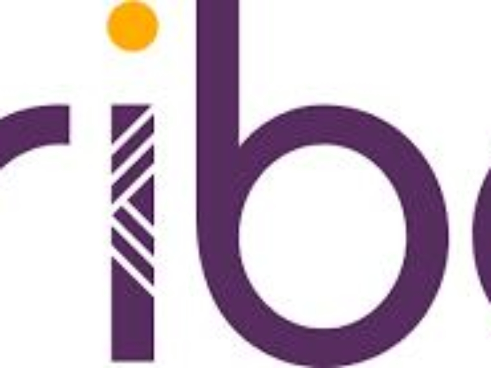 Tribe_Payments_Logo_2025